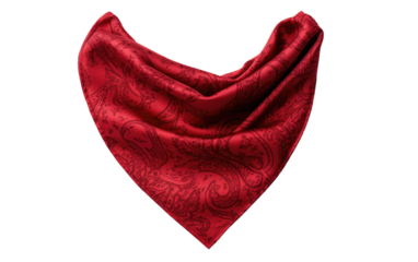 Bandana isolated on transparent Background