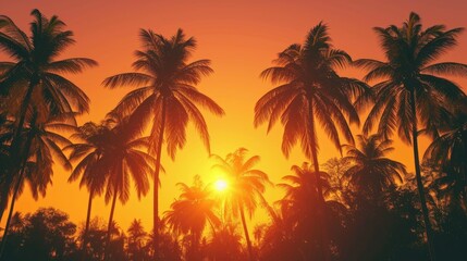 Obraz premium Palm trees are silhouetted against the setting sun. Perfect for tropical and beach-themed designs