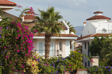 Fototapeta premium Idyllic holiday houses in the small Turkish village with palm trees and bougainvillea