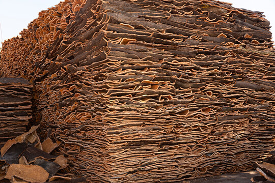 Planchas de corcho apiladas.