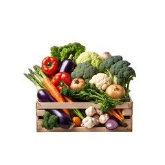 Observation of vegetable collections against a white backdrop 
