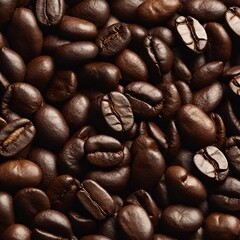 Fototapeta premium A look at the coffee bean 