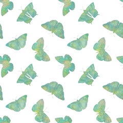 seamless pattern, colorful butterflies and isolated on white background, illustration for wallpaper