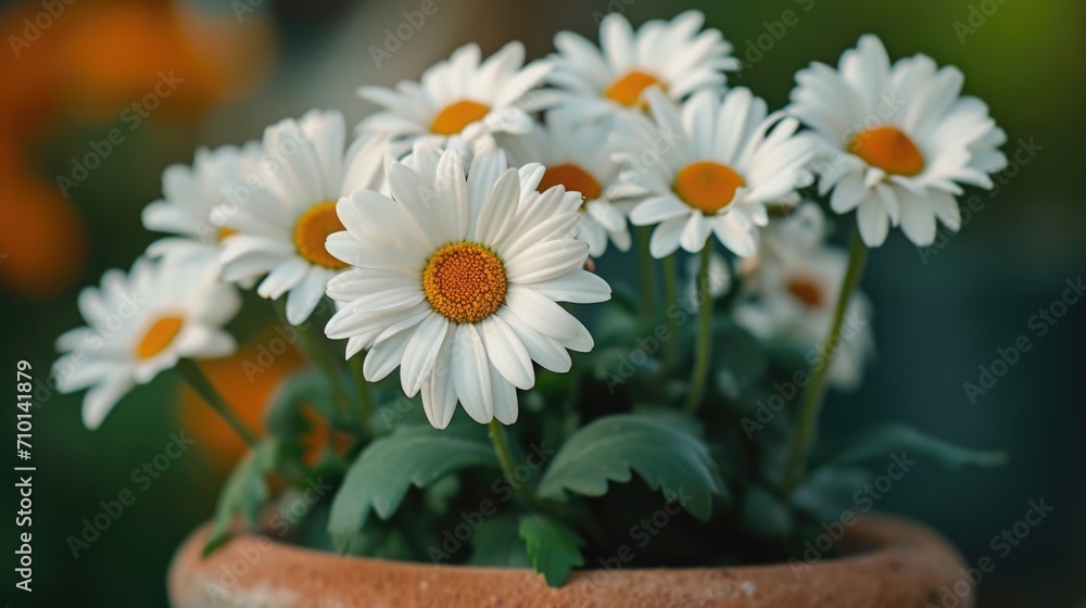 Poster A detailed close-up of a pot filled with vibrant flowers. This image can be used to add a pop of color and natural beauty to any project