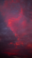 Bright magenta cloud in the evening, dark dramatic cloudscape at sunset