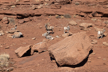 Moab, Arches, Canyonlands, Monument Valley, National Parks