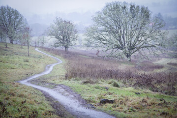 A winter day at Buford Park