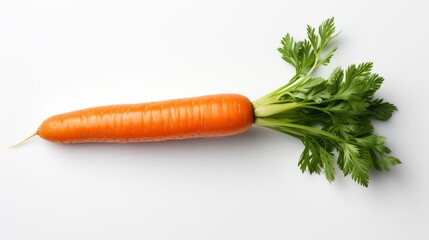 One fresh carrot with tops on white background. Carrot with tops. Food photography. Horizontal format