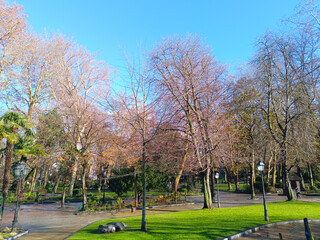 San Francisco urban park during winter, Oviedo