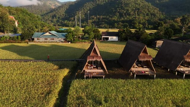 Aerial video about homestay in Thailand on Oretz Terraces, Thailand