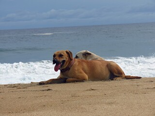 Obraz premium Tranquilidad 