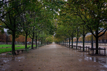 A desolate alley in the Tuileries Garden, Paris, after a rainfall, with lines of benches under the sheltering trees. Travel and trip concepts