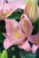 A huge bouquet of pink lilies with green leaves in a store.