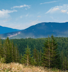 Summer Ihrovets mountain view (Carpathian, Ukraine).