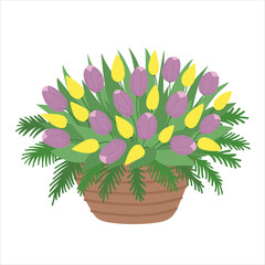 Spring flowers in basket isolated in flat cartoon design. Beautiful blooming bouquet with yellow and purple tulips and green plants for springtime in pot. Vector illustration isolated composition