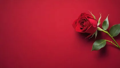 Foto op Plexiglas Single red rose on warm velvet background, shadowed on the corners, for valentine's day or weddings  © Lied