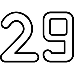 Twenty nine Icon