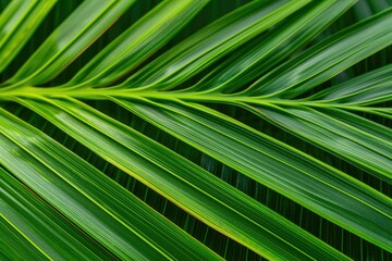 Vibrant Green Palm Leaf Texture, Nature Background