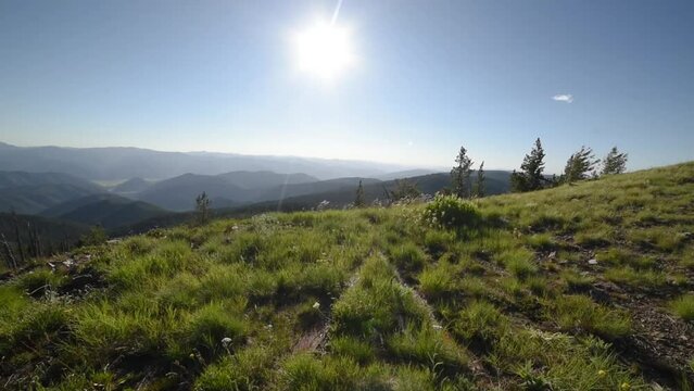 Boards In the Grass On Mountain Top