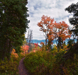 Timpanogos back Willow Hollow Ridge, Pine Hollow Trail hiking trail view Wasatch Rocky Mountains, Utah.