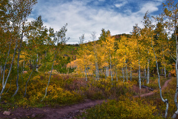 Timpanogos back Willow Hollow Ridge, Pine Hollow Trail hiking trail view Wasatch Rocky Mountains, Utah.