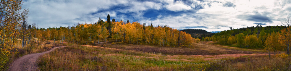Fototapeta premium Timpanogos back Willow Hollow Ridge, Pine Hollow Trail hiking trail view Wasatch Rocky Mountains, Utah.