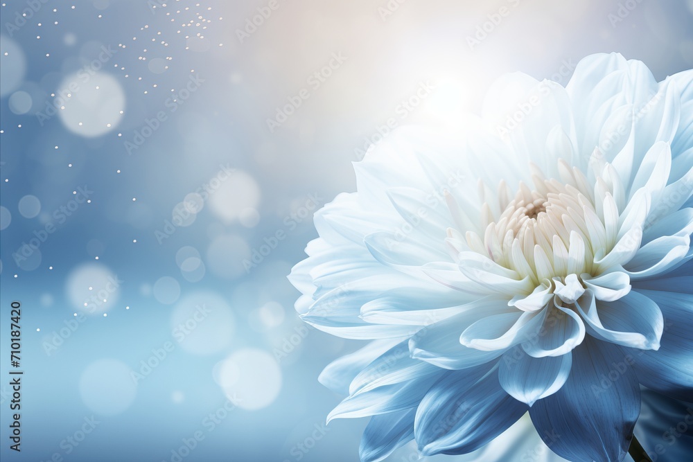 Poster white chrysanthemum on magical bokeh background with ample text space on the left side
