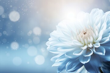 White chrysanthemum on magical bokeh background with ample text space on the left side