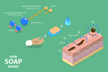 3D Isometric Flat Vector Illustration of How Soap Works, Healthcare and Hygiene Basics