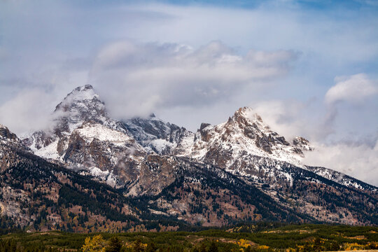 dramatic autumn foliage in the Grand Tetons in Wyoming  as yellow colored trees , peaceful Snake River and snow capped mountains fill the background.