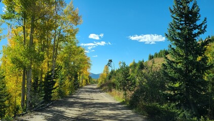 Fototapeta na wymiar Fall mountain drive