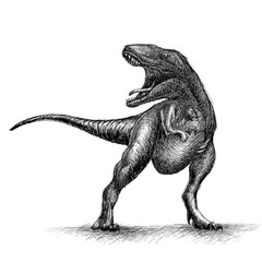 Dinosaur Hand Drawn Digital Illustration in Black and White