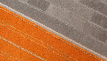 Orange blue carpet texture top wiev