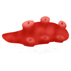 Sushi, Japanese food menu vector illustration.