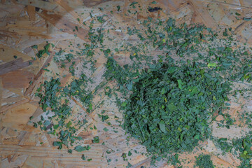 Powder and moringa leaves on wooden background