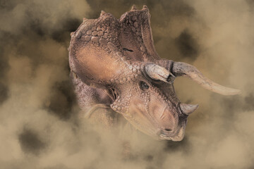 Triceratops  ,dinosaur in the dark