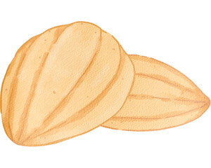 Sweet Cake Single Illustration