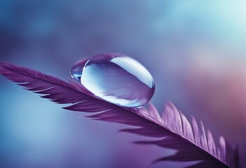 Beautiful clean transparent bright drop of water on feather in light blue and purple colors macro Te