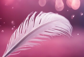 Beautiful white feather with drops on a blurred background of pink