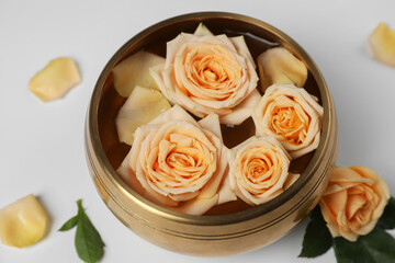 Tibetan singing bowl with water and beautiful rose flowers on white background, closeup