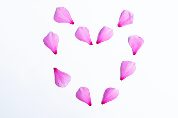 group of heart shaped geranium flowers