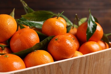 Fresh tangerines with green leaves in wooden crate, closeup