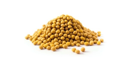 Pile of Soybeans isolated white background, copy space