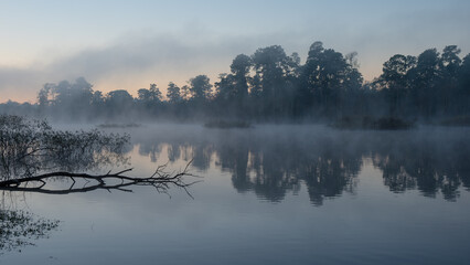 Obraz na płótnie Canvas Dawn in January by a pond in The Woodlands, Texas.