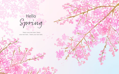 Fototapeta na wymiar 手描きの桜の花と枝の背景用イラスト