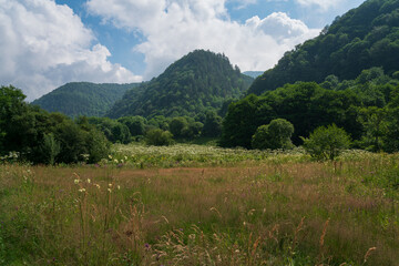 View of the territory of the Nizhne-Arkhyz settlement in the valley of the Bolshoy Zelenchuk River, Nizhny Arkhyz, Karachay-Cherkessia, Russia