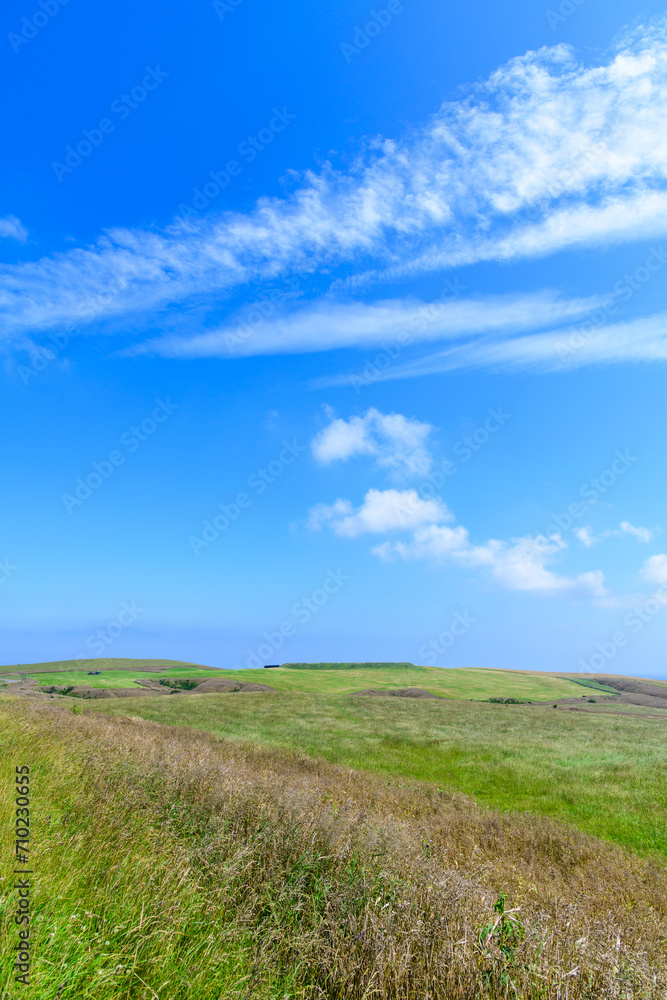 Canvas Prints 北海道　宗谷丘陵を行く