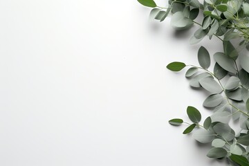 Fresh plant concept with a trendy layout showcasing natural green eucalyptus branches on a light grey background, creating a visually appealing image. 