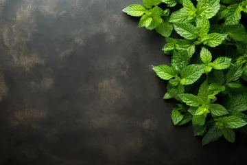 Foto op Plexiglas Top down view of mint tea background with space for text © The Big L