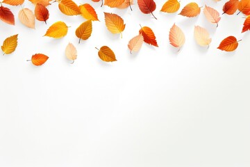 White background with falling November pattern representing autumn leaves and the Thanksgiving season